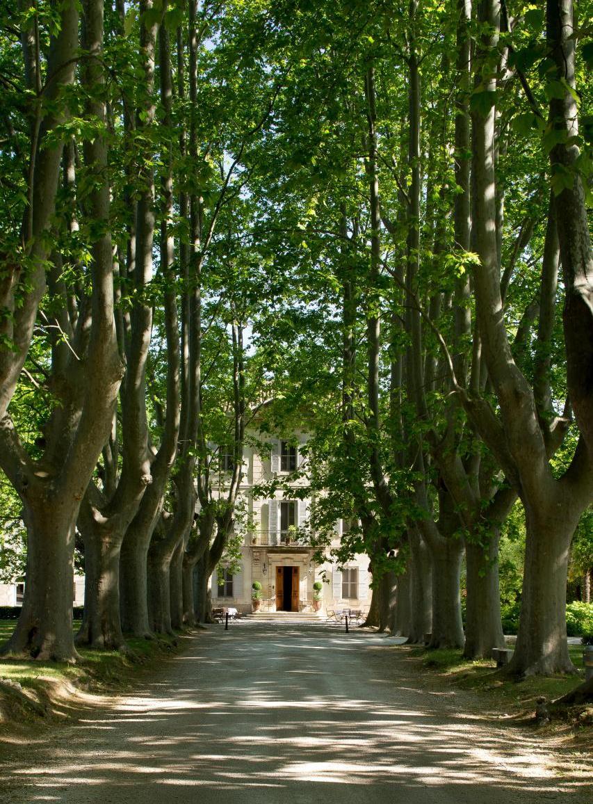 Jardin
