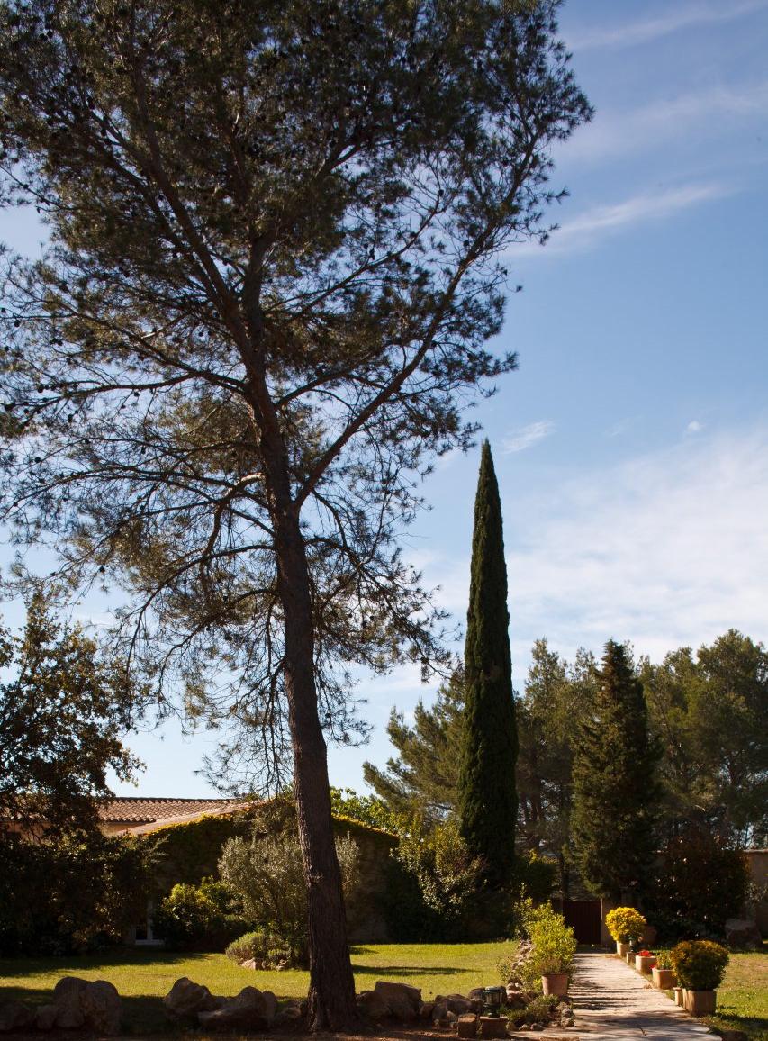 Jardin