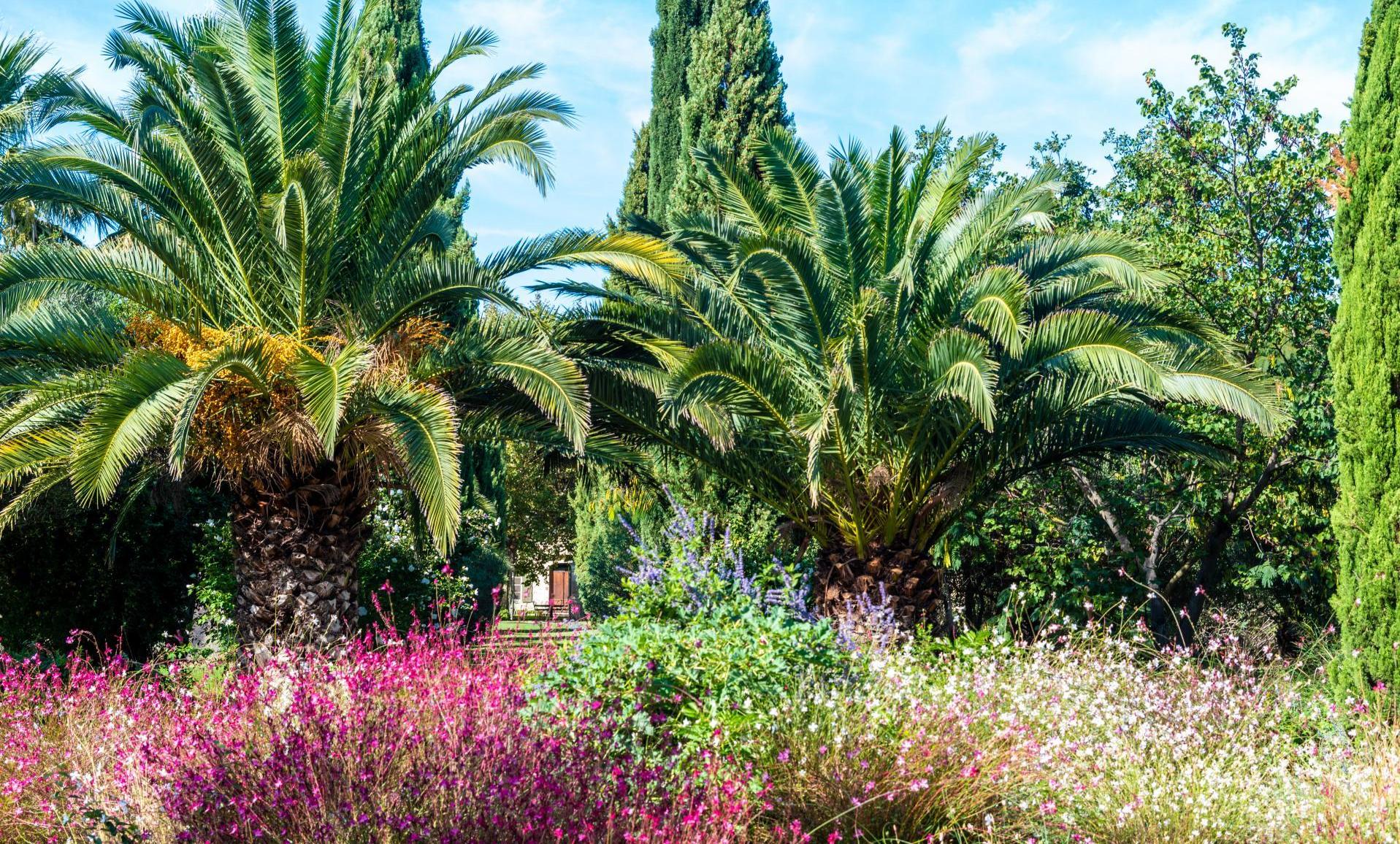 Jardin