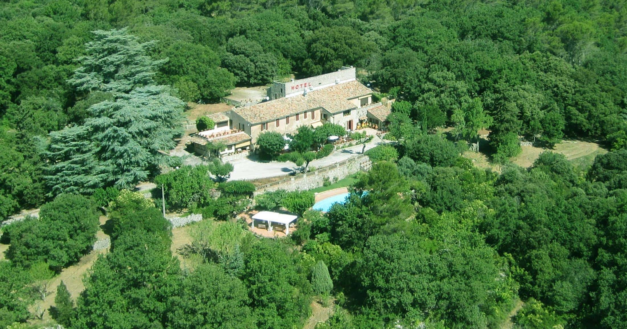 3538a.jpg