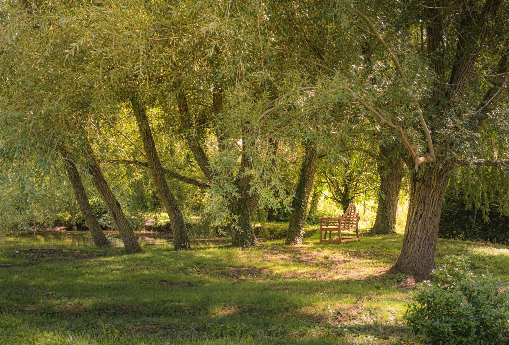 Jardin