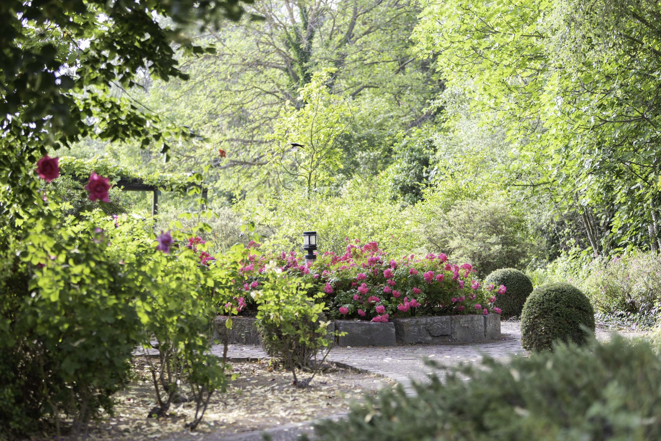 Jardin